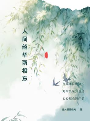 人间韶华两相忘封面