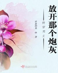 快穿男主放开那个炮灰封面