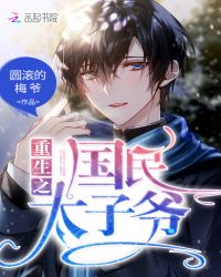 重生之国民太子爷封面