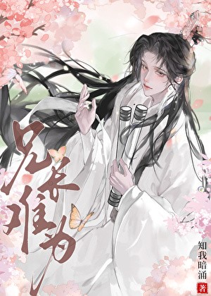 兄长难为封面