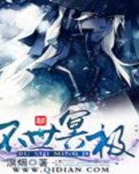 不世冥极封面