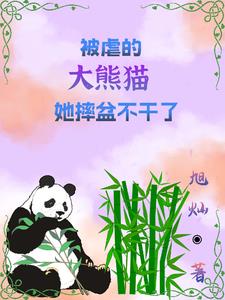 逃跑熊猫：我带祖国上大分封面