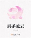 素手凌云封面