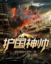 护国神帅封面