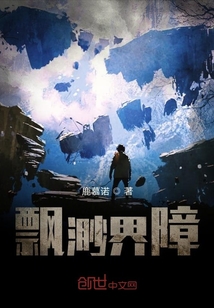 飘渺界障封面
