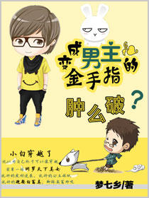 变成男主的金手指肿么破封面