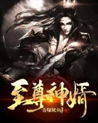 至尊神婿封面