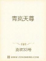 青岚天尊封面