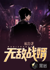 无敌战婿封面