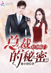 好孕临门：总裁的秘密封面