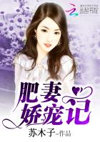 肥妻娇宠记封面