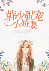 韩少甜宠小娇妻封面
