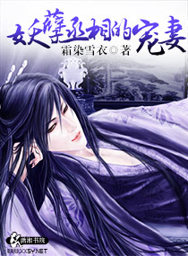 妖孽丞相的宠妻封面