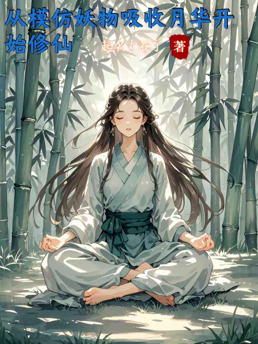 年代下乡：我有天道酬勤封面