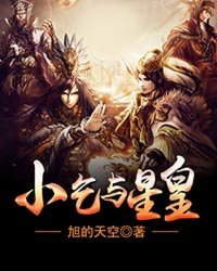 小乞与星皇封面