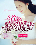 首席蜜爱暖婚封面