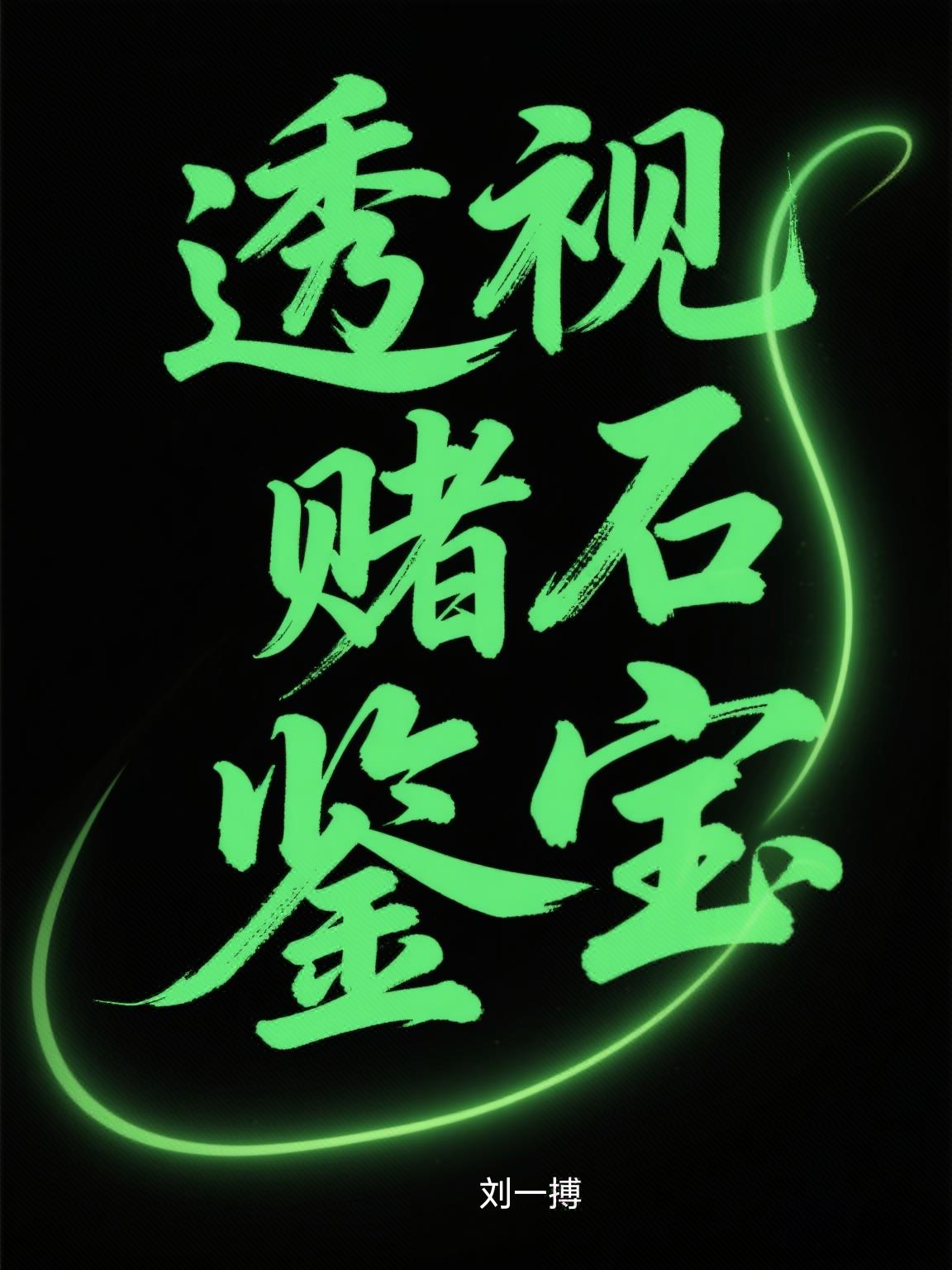 透视赌石鉴宝封面