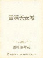 雪满长安城封面
