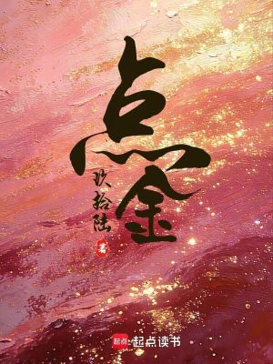 点金封面