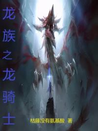 龙族之龙骑士封面