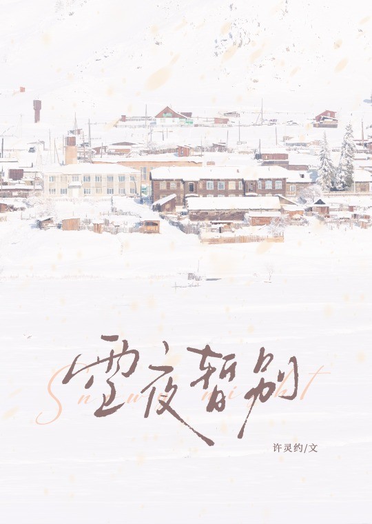 雪夜暂别封面