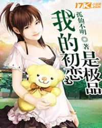 我的初恋是极品封面