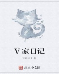 V家日记封面