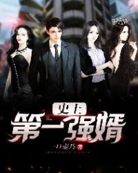 史上第一强婿封面