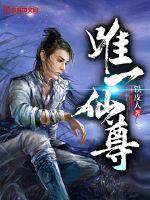 唯一仙尊封面