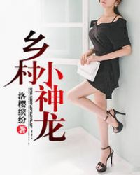 乡村小神龙封面