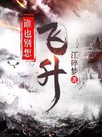 谁也别想飞升封面