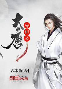 大唐好相公封面