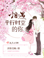 相遇平行时空的你封面