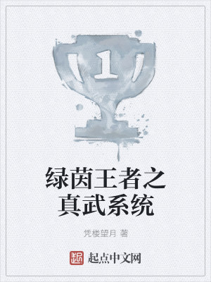 绿茵王者之真武系统封面
