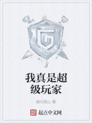 我真是超级玩家封面