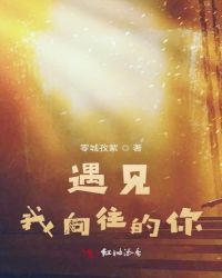 遇见我向往的你封面
