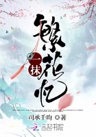 一抹繁花忆封面