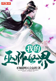 我的巫师世界封面