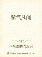 紫气凡间封面