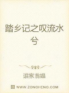 踏乡记之叹流水兮封面