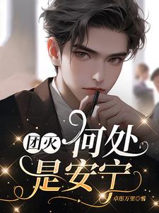 团灭：何处是安宁封面
