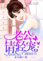 娇妻在下：老公请轻宠封面