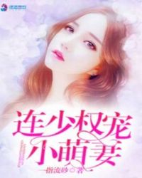 连少权宠小萌妻封面