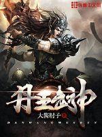 丹王武神封面