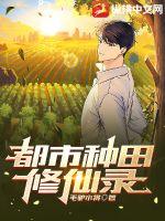 都市种田修仙录封面