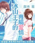 冰山王子的专属爱情封面