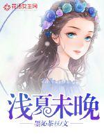 浅夏未晚封面
