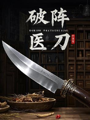 破阵医刀封面