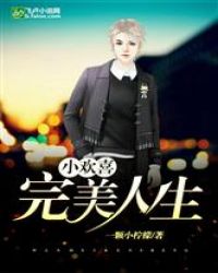 小欢喜：完美人生封面