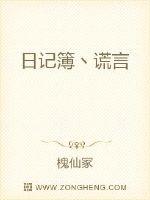 日记簿，谎言封面